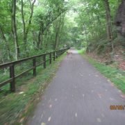 Biking Canal Tow 85-185 (54)